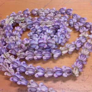 Meet your Posher, Justine